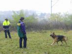 hl_talir2008_038.jpg