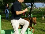 kurzy_letni_2008_12.jpg