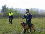 hl_talir2008_037.jpg