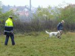 hl_talir2008_130.jpg
