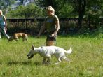 letni2007_07.jpg