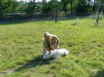 letni2007_15.jpg
