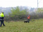 hl_talir2008_138.jpg