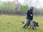 hl_talir2008_147.jpg