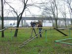 hl_talir2008_135.jpg