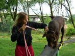 kurzy_letni_2008_09.jpg