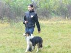 hl_talir2008_163.jpg
