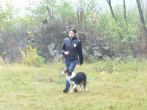 hl_talir2008_162.jpg