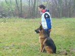 hl_talir2008_172.jpg