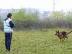 hl_talir2008_175.jpg