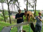 kurzy_letni_2008_07.jpg