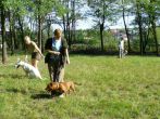 letni2007_08.jpg