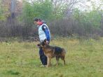 hl_talir2008_170.jpg