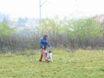 hl_talir2008_159.jpg